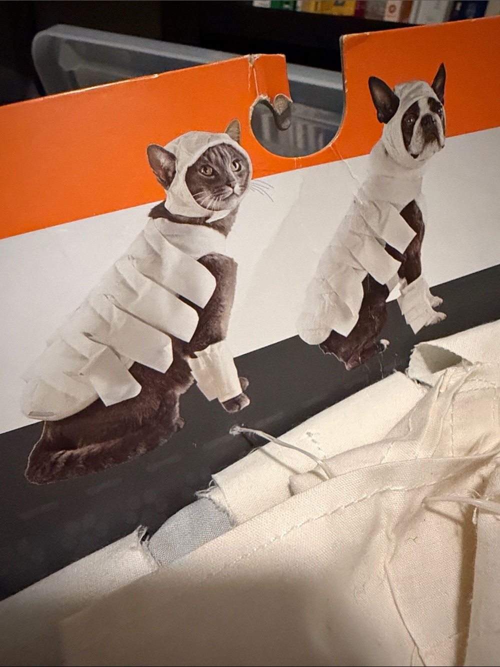 Pet mummy costume M